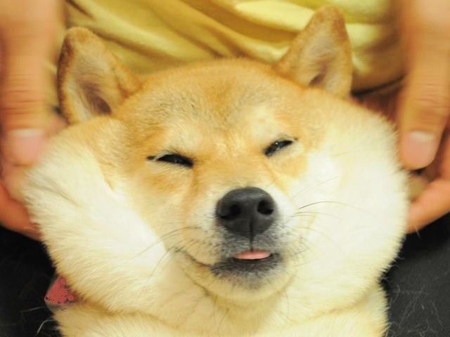 忘れてはいけないこと_a0126590_2328265.jpg