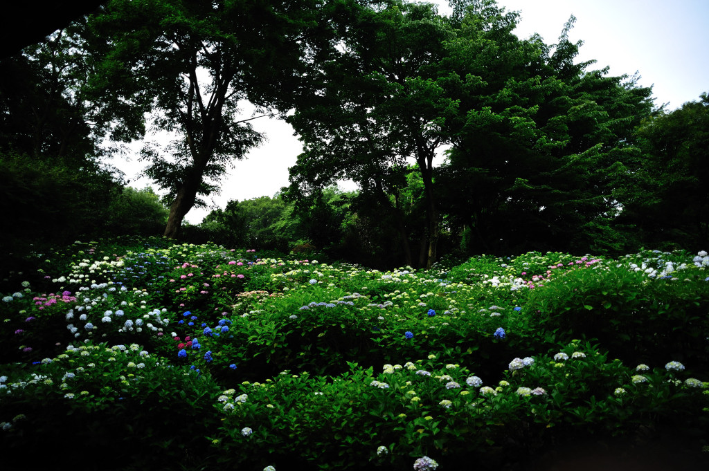 d0119505_10451659.jpg