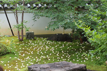 京都妙心寺で精進料理を_a0115906_17295680.jpg