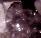 e0103408_13463237.gif
