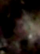 e0103408_13473073.gif