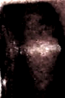 e0103408_13475981.gif