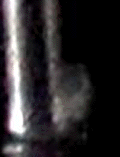 e0103408_13555676.gif