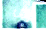 e0103408_13562825.gif