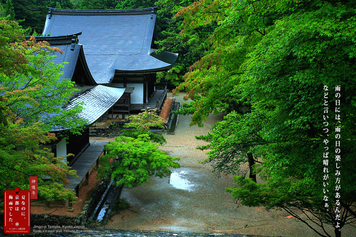 京都シルヴプレ160　神護寺　3（京都メーター付）_f0038408_2327295.jpg