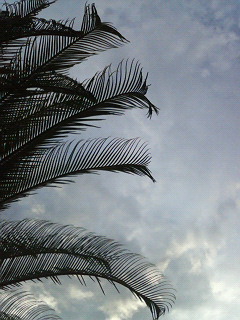 a0011909_88411.jpg