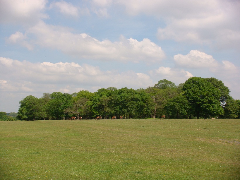 b0132411_2055276.jpg