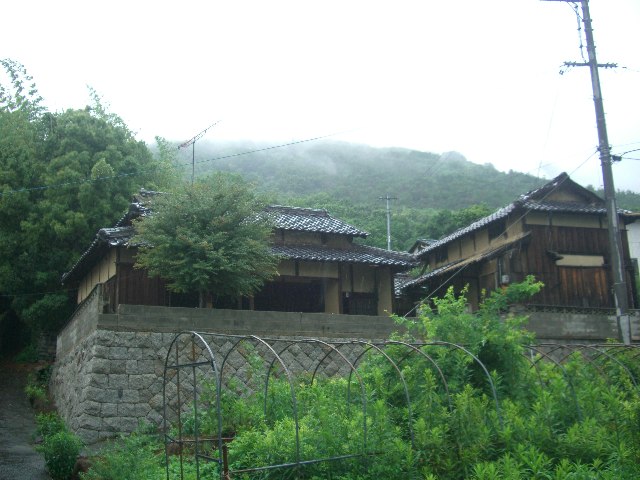 d0146612_2336231.jpg