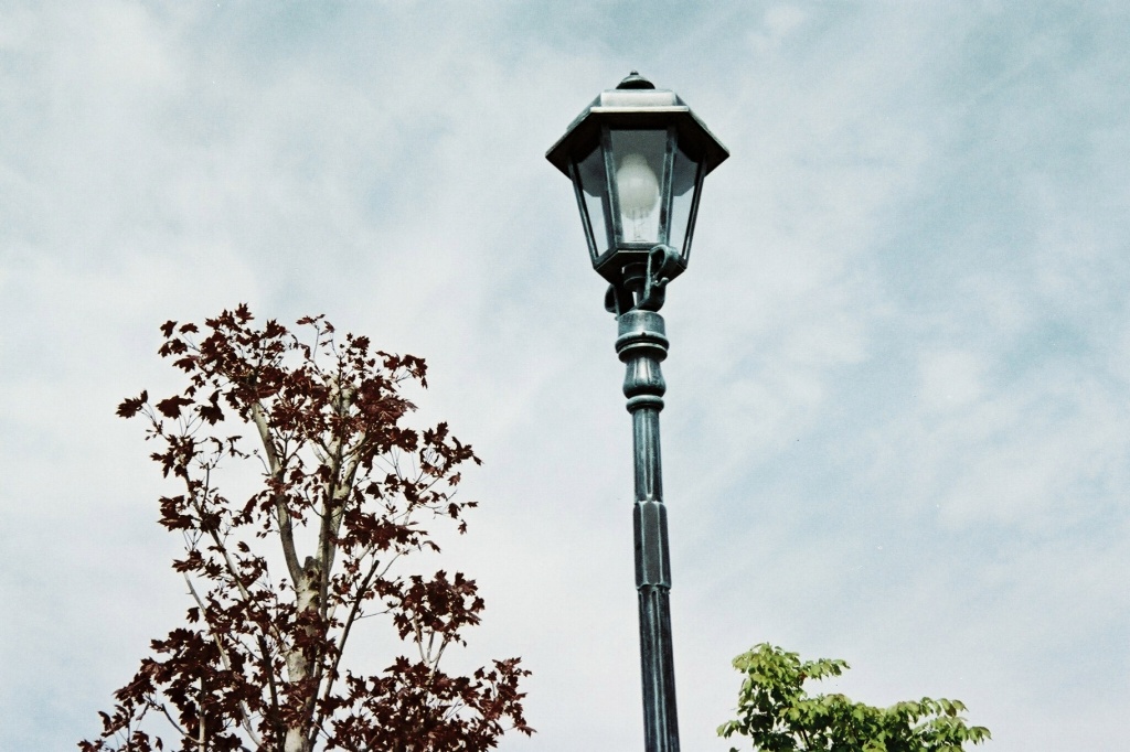 Streetlamp 2_f0191012_18263461.jpg