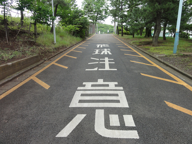 e0031613_15946.jpg