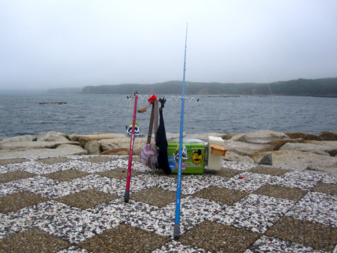 b0186119_1953097.jpg