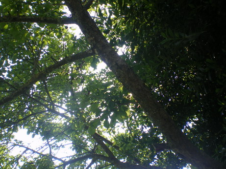 c0124619_48799.jpg