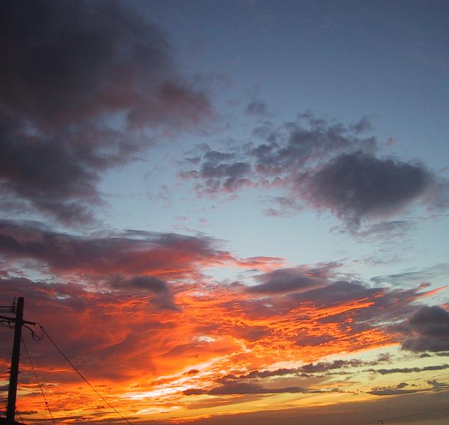 c0097620_1748810.jpg