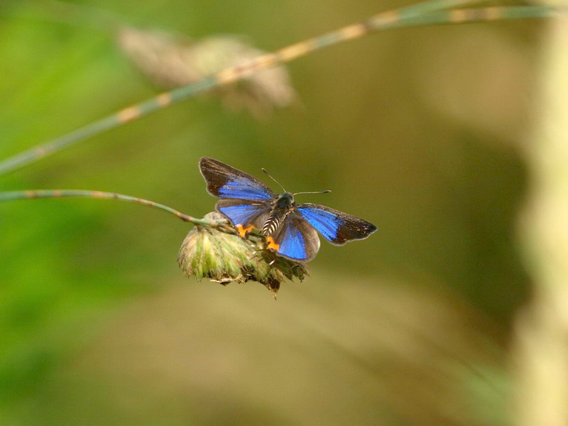 d0090322_2061011.jpg