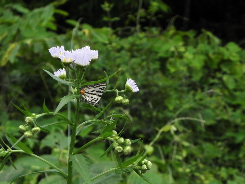 d0090322_2065063.jpg