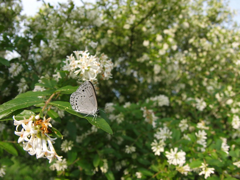 d0090322_207174.jpg