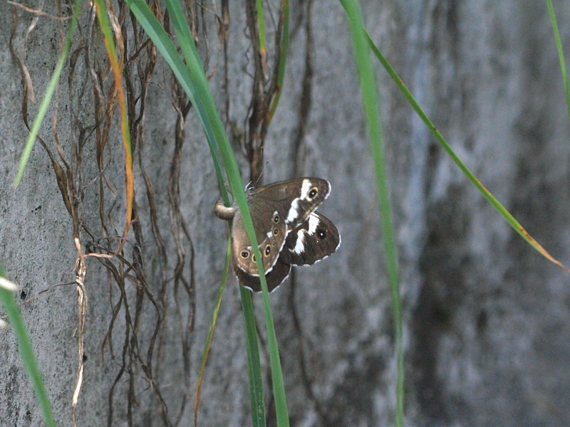 d0090322_2081528.jpg