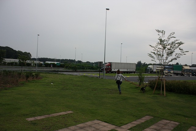 e0162524_12175480.jpg