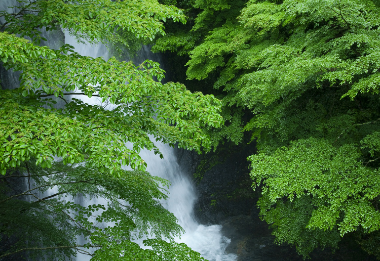 d0147530_6585147.jpg