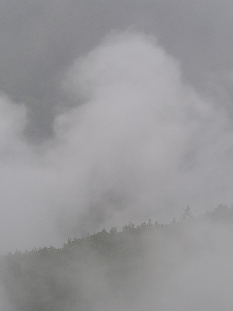 霧の精　　奥多摩　PENTAX 645D_f0050534_7525235.jpg
