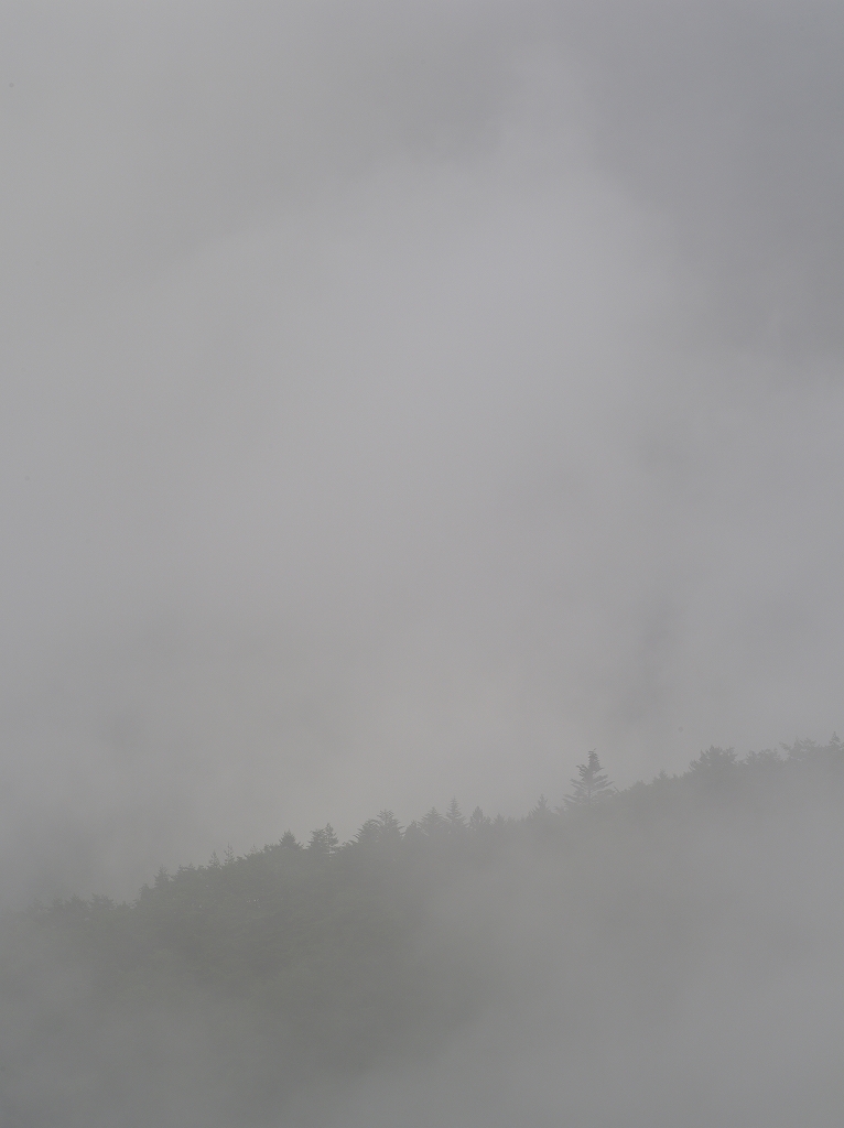 霧の精　　奥多摩　PENTAX 645D_f0050534_753324.jpg