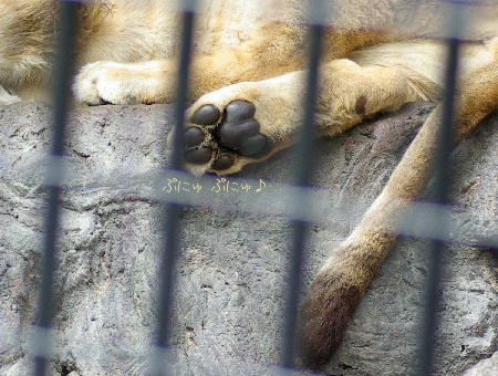 小さな空の下で　夢をみる ・・・_a0143439_14153651.jpg