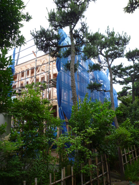 f0070542_8311514.jpg
