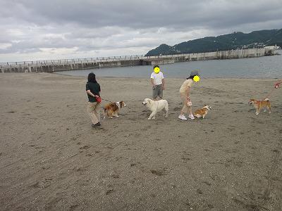 熱海のローズガーデンへドライブ~♪_e0195743_3571236.jpg