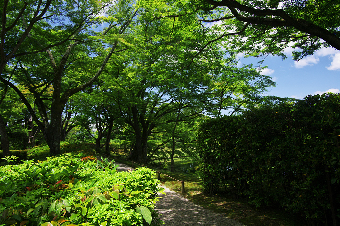 離宮の庭へ・・・（後編）（修学院離宮）_f0155048_023071.jpg