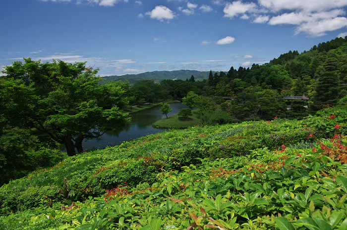 離宮の庭へ・・・（後編）（修学院離宮）_f0155048_024555.jpg