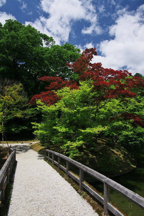 離宮の庭へ・・・（後編）（修学院離宮）_f0155048_051833.jpg