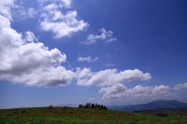 f0044056_57545.jpg
