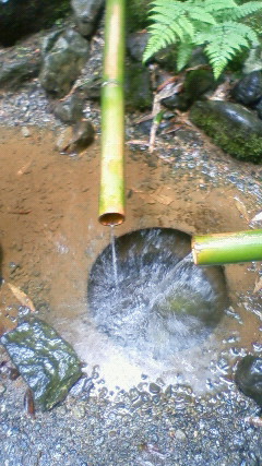 c0165460_1648458.jpg