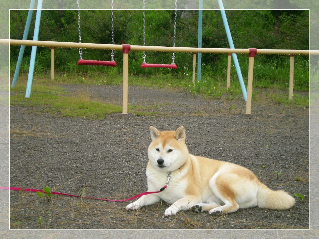 2010年6月28日(月)こっち向いて!_f0060461_855188.jpg
