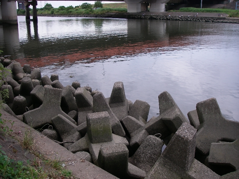 テナガエビ釣り第3回目 埼玉の空より