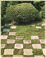 e0098472_81275.jpg