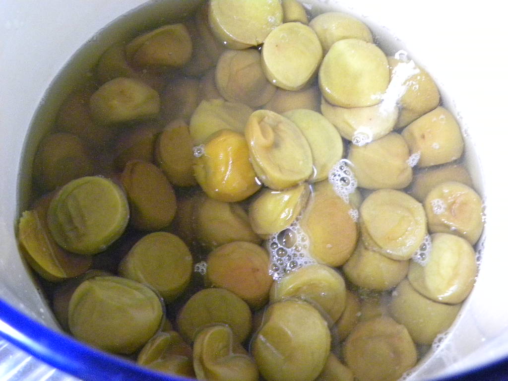 梅干し (1)_c0162773_1310316.jpg