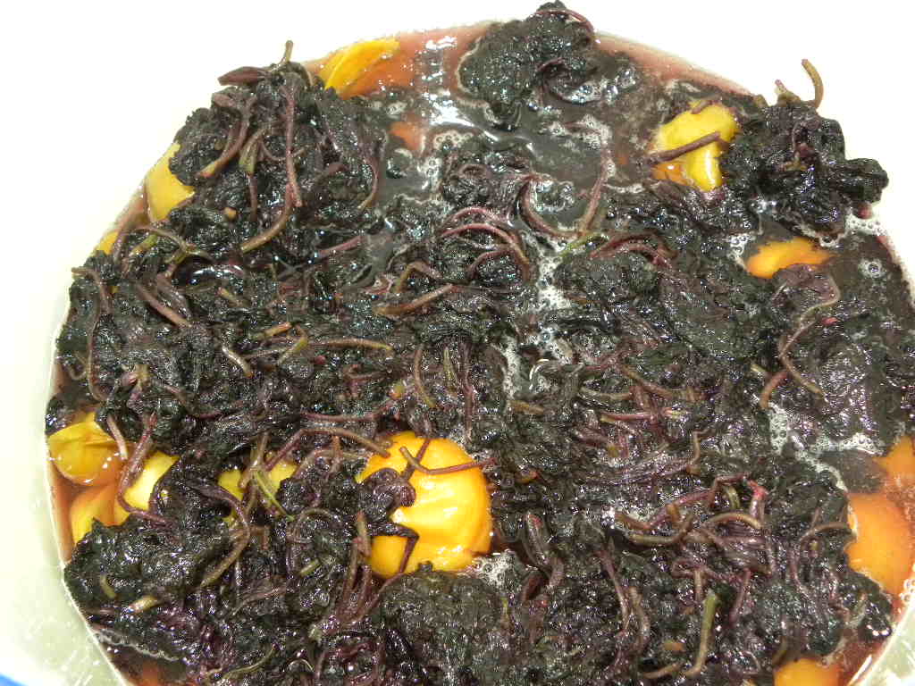 梅干し (1)_c0162773_1323881.jpg