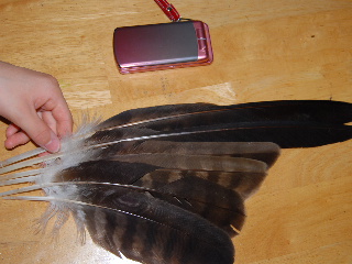 a0158478_95147.jpg