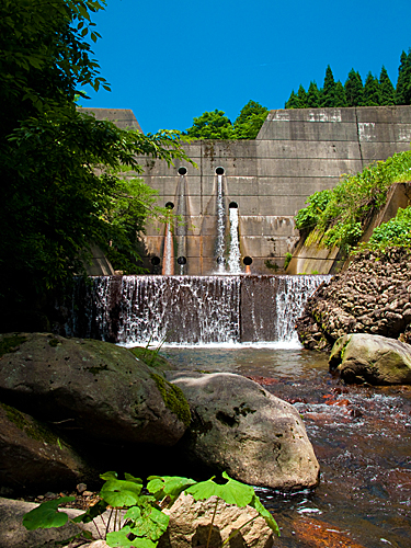 c0203681_11403159.jpg