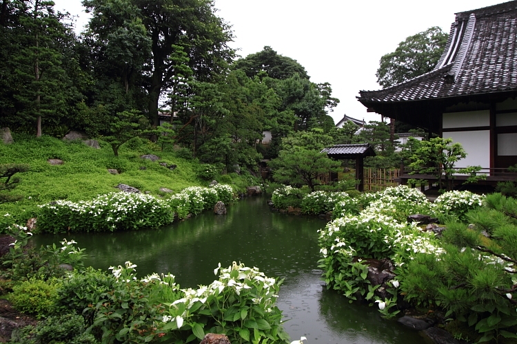 両足院（建仁寺塔頭）_e0051888_23131113.jpg