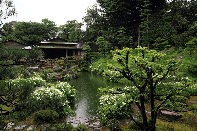 両足院（建仁寺塔頭）_e0051888_2394211.jpg