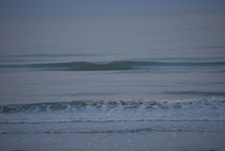 e0195990_60815.jpg