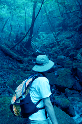 屋久島　初体験！！_f0132391_2322780.jpg