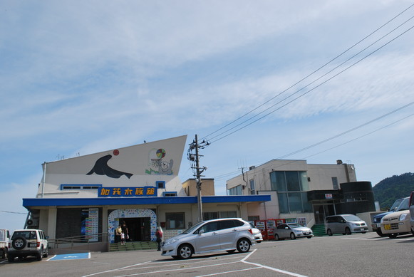 加茂水族館（クラゲ以外）_e0172592_1203722.jpg