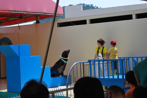 加茂水族館（クラゲ以外）_e0172592_12314213.jpg