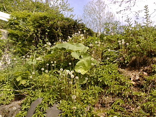 f0200795_16234885.jpg