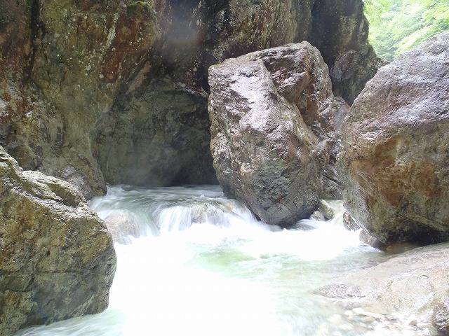 c0147398_80828.jpg