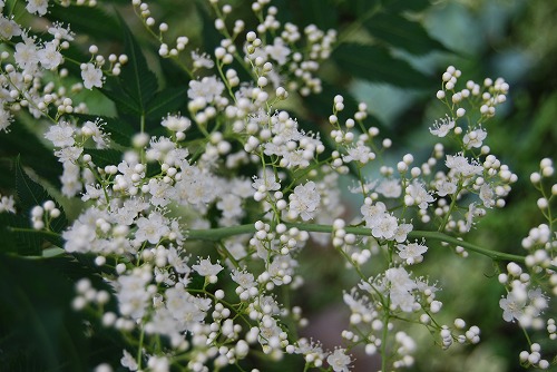 c0124100_22471828.jpg