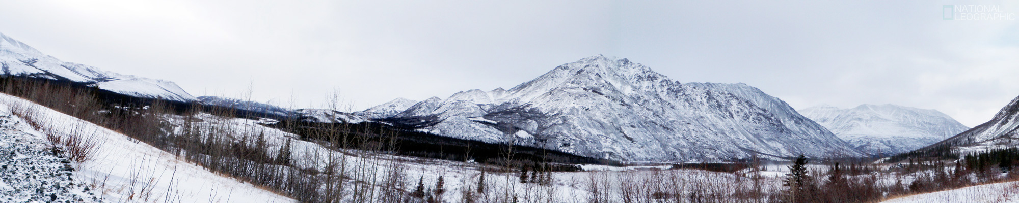 c0080101_15827.jpg